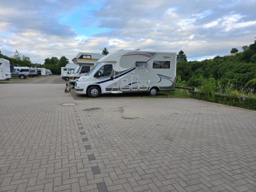 Wohnmobil auf einem Parkplatz mit Bäumen im Hintergrund. Wolkiger Himmel.