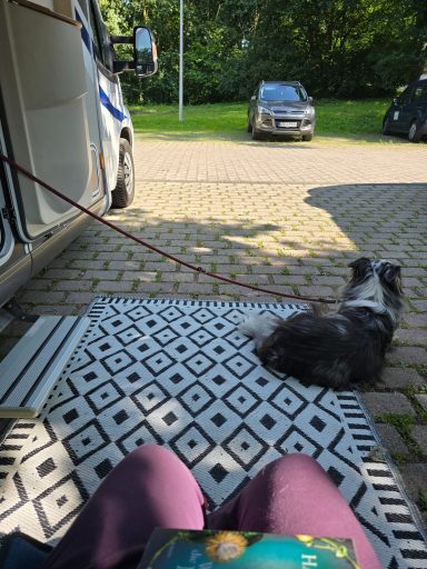 Ein Hund liegt auf einem Teppich vor einem Wohnmobil, während eine Person mit einem Buch sitzt.