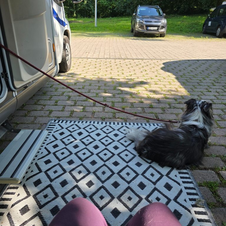 Auszeit WoMo-Stellplatz auf Parkplatz, Hund liegt auf einem Teppich neben der WoMo-Tür, im Hintergrund ein Auto und Grünflächen.